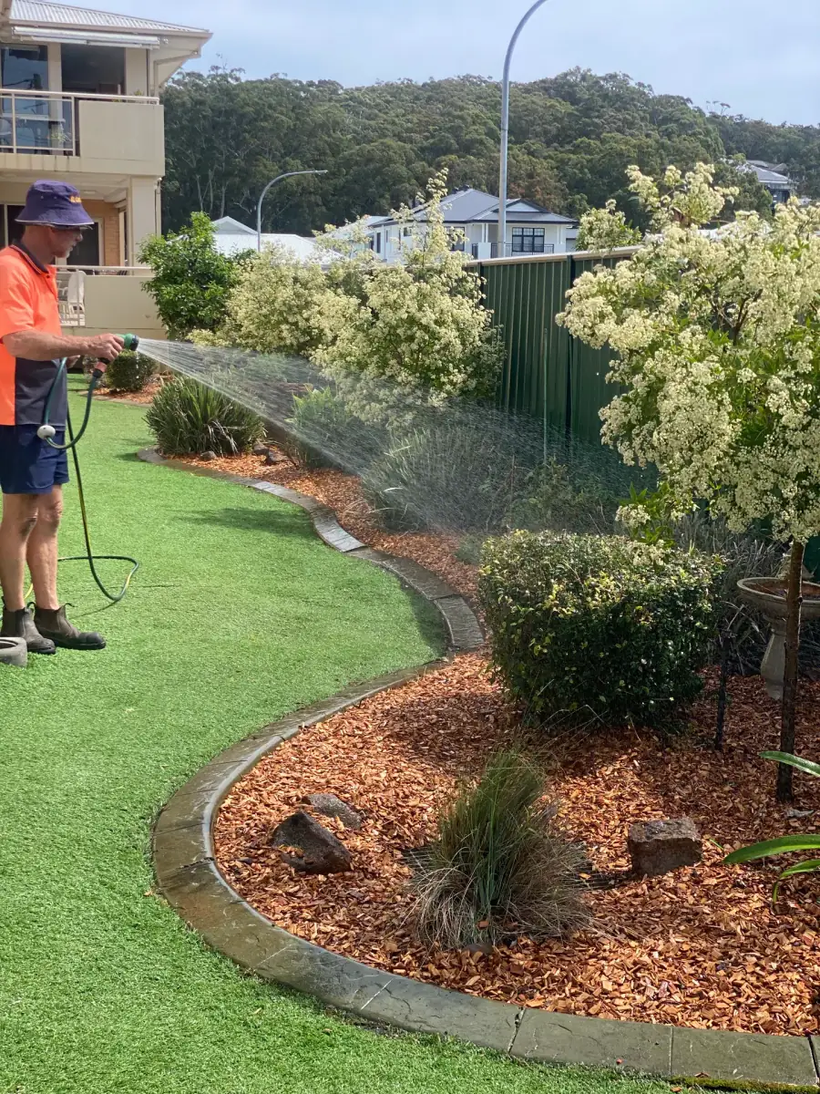 Mown residential lawn bordered by a garden bed