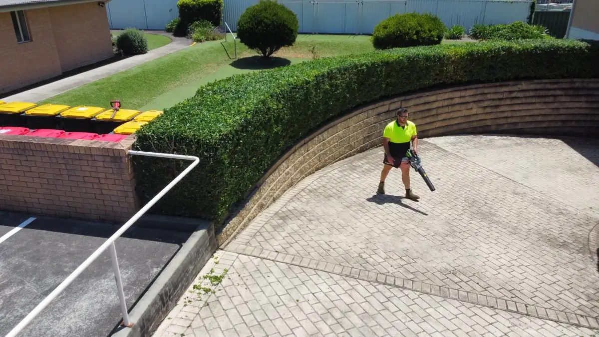Garden path and outdoor maintenance at a home