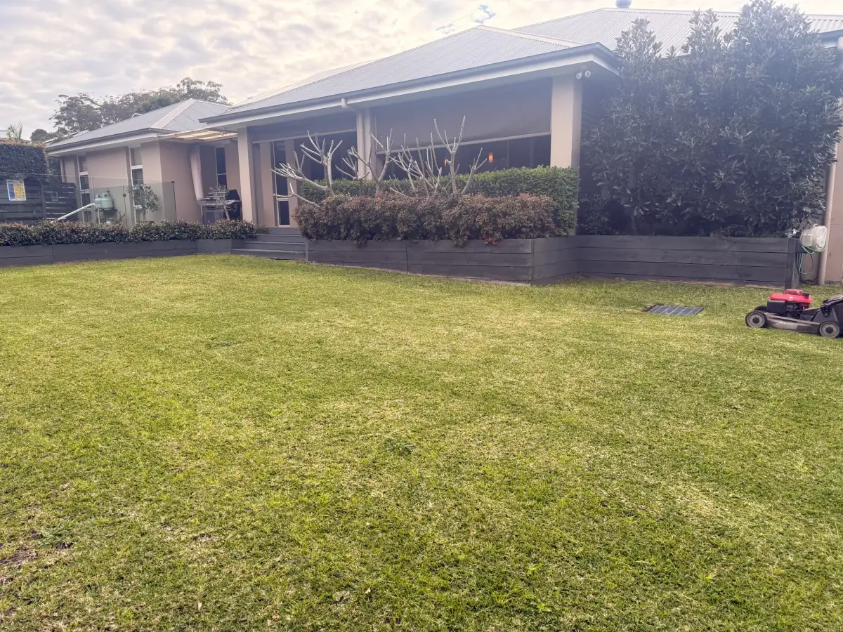 Garden and outdoor area after maintenance